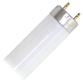 17 Watt 2 ft. T8 Fluorescent Tube V76965