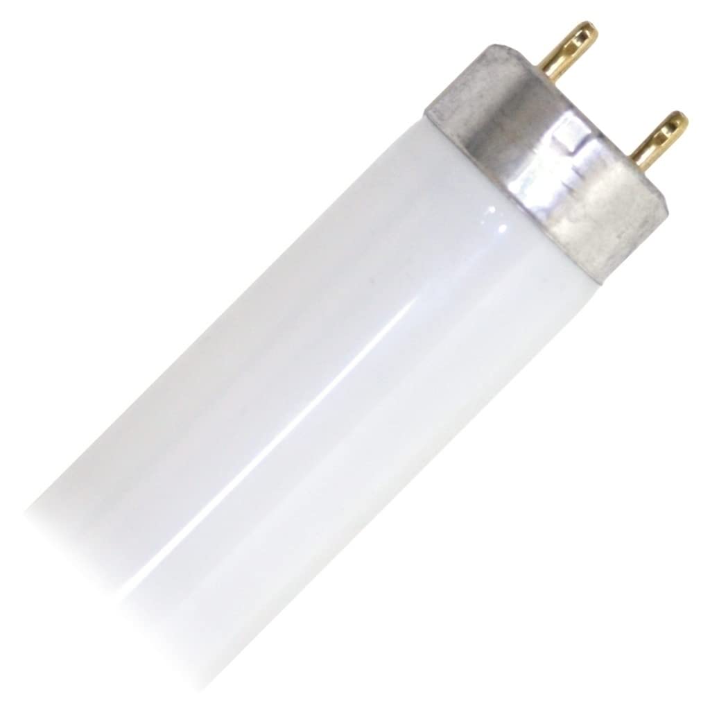 17 Watt 2 ft. T8 Fluorescent Tube V76965