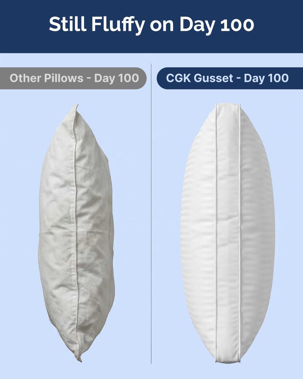 King Size Gusset Pillows Set of 2 F424725
