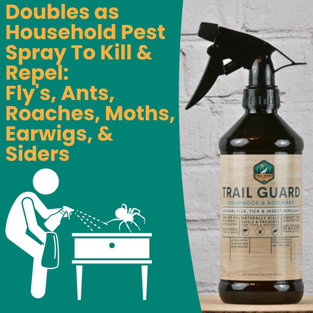 Natural Extra Strength Insect, Flea and Tick Spray 16oz G585732