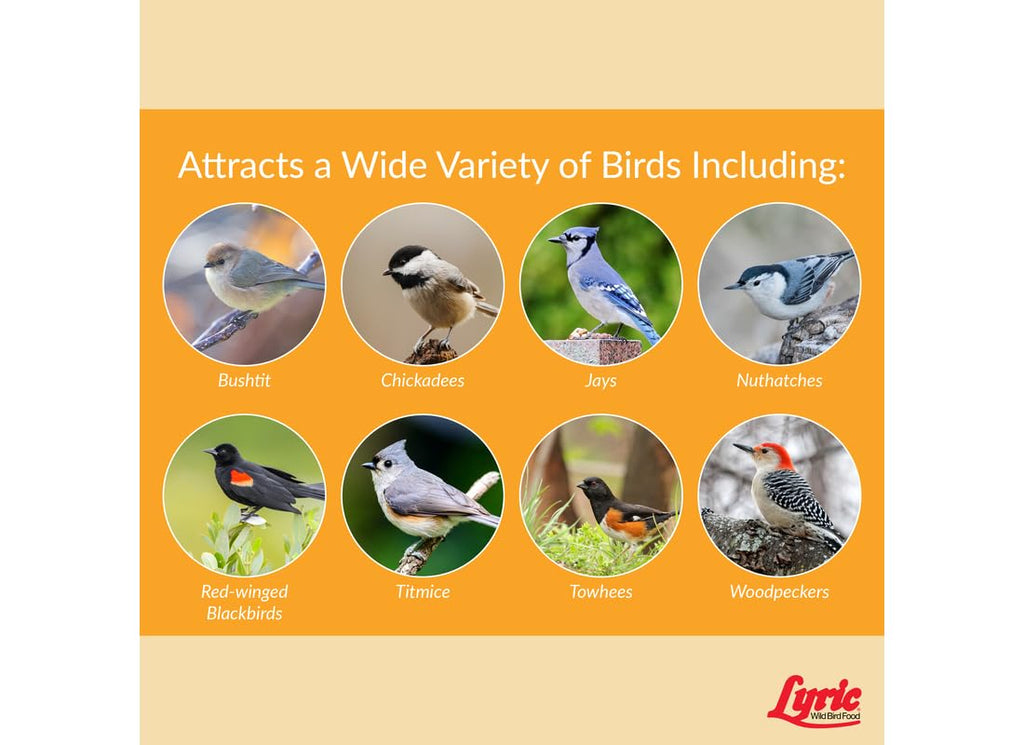 Wild Bird Seed 20 lb Bag H730276