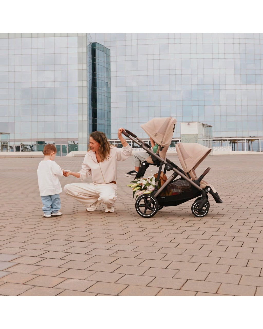 Chocolate Brown Stroller Seat Z4148