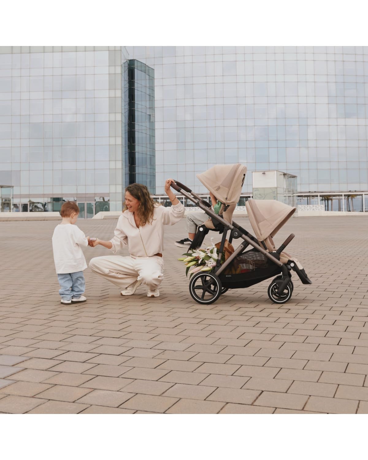 Chocolate Brown Stroller Seat Z4148