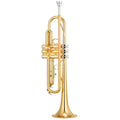 Bb Trumpet W8425