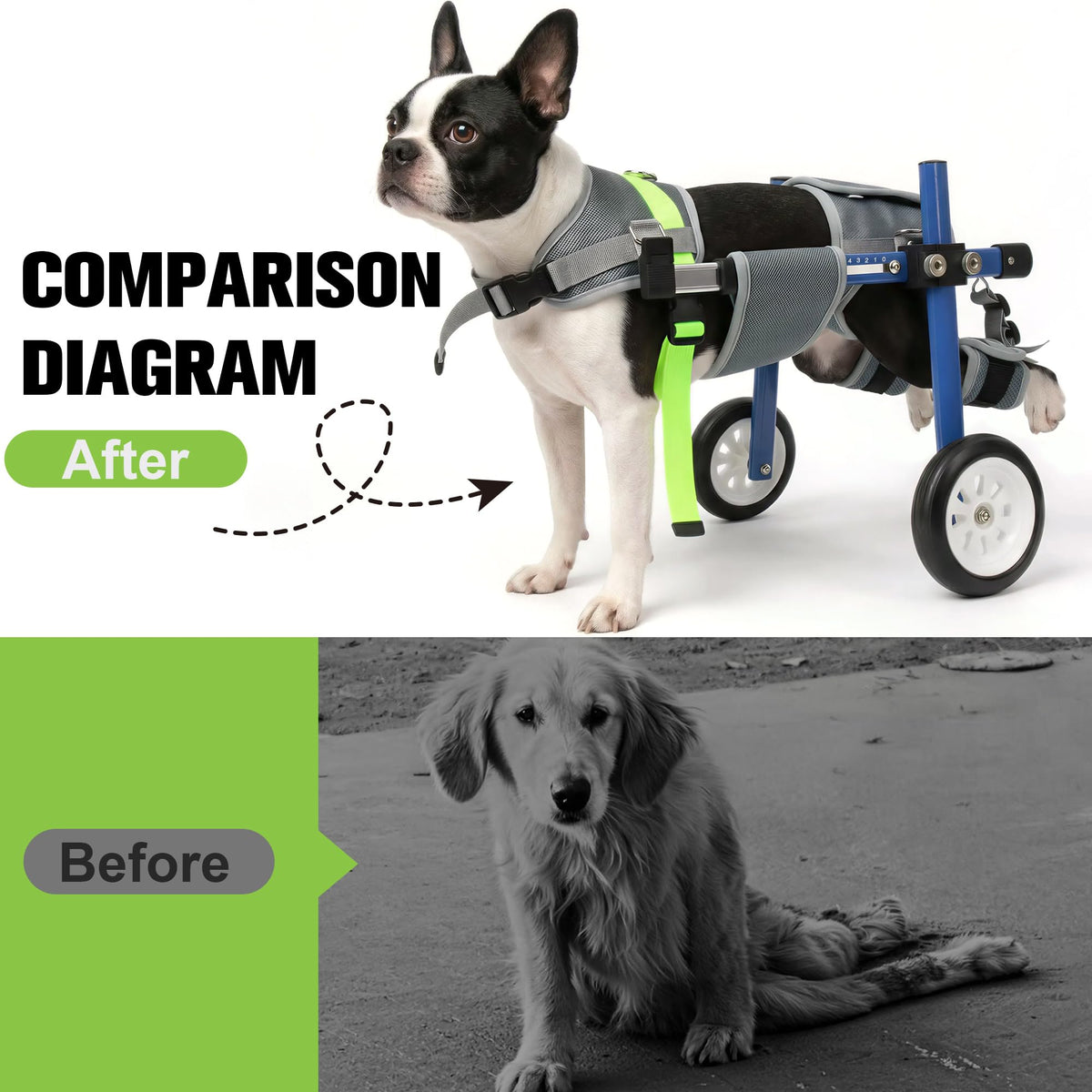 Adjustable Dog Wheelchair for Back Legs C193
