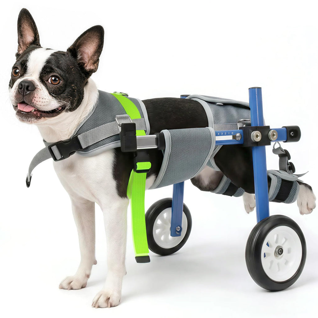 Adjustable Dog Wheelchair for Back Legs C193