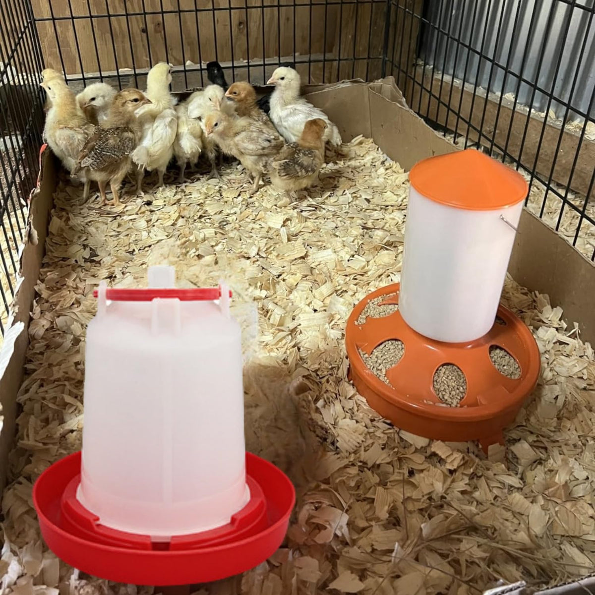 4 Pack 1 L Plastic Poultry Waterer W40403