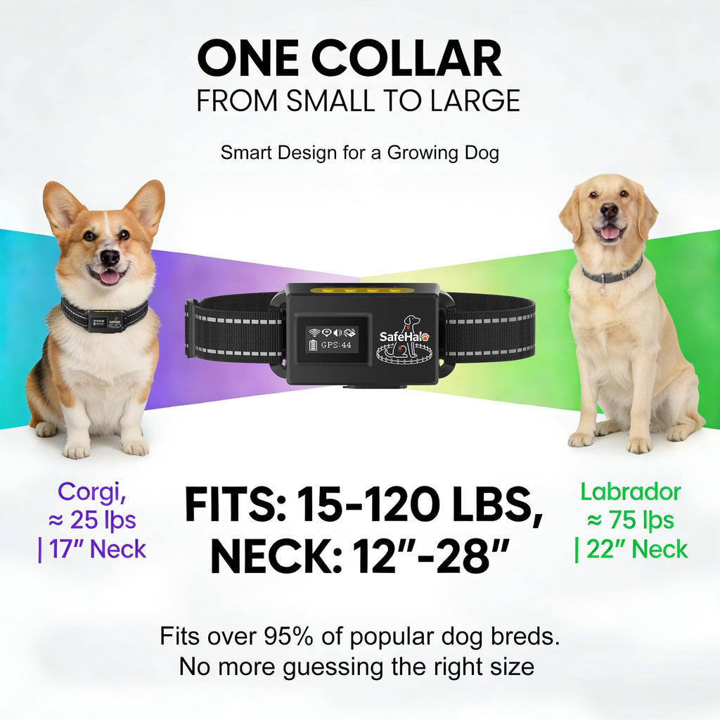 Wireless GPS Dog Fence Collar, 65–9,840 ft Radius, IPX7 Waterproof X82389