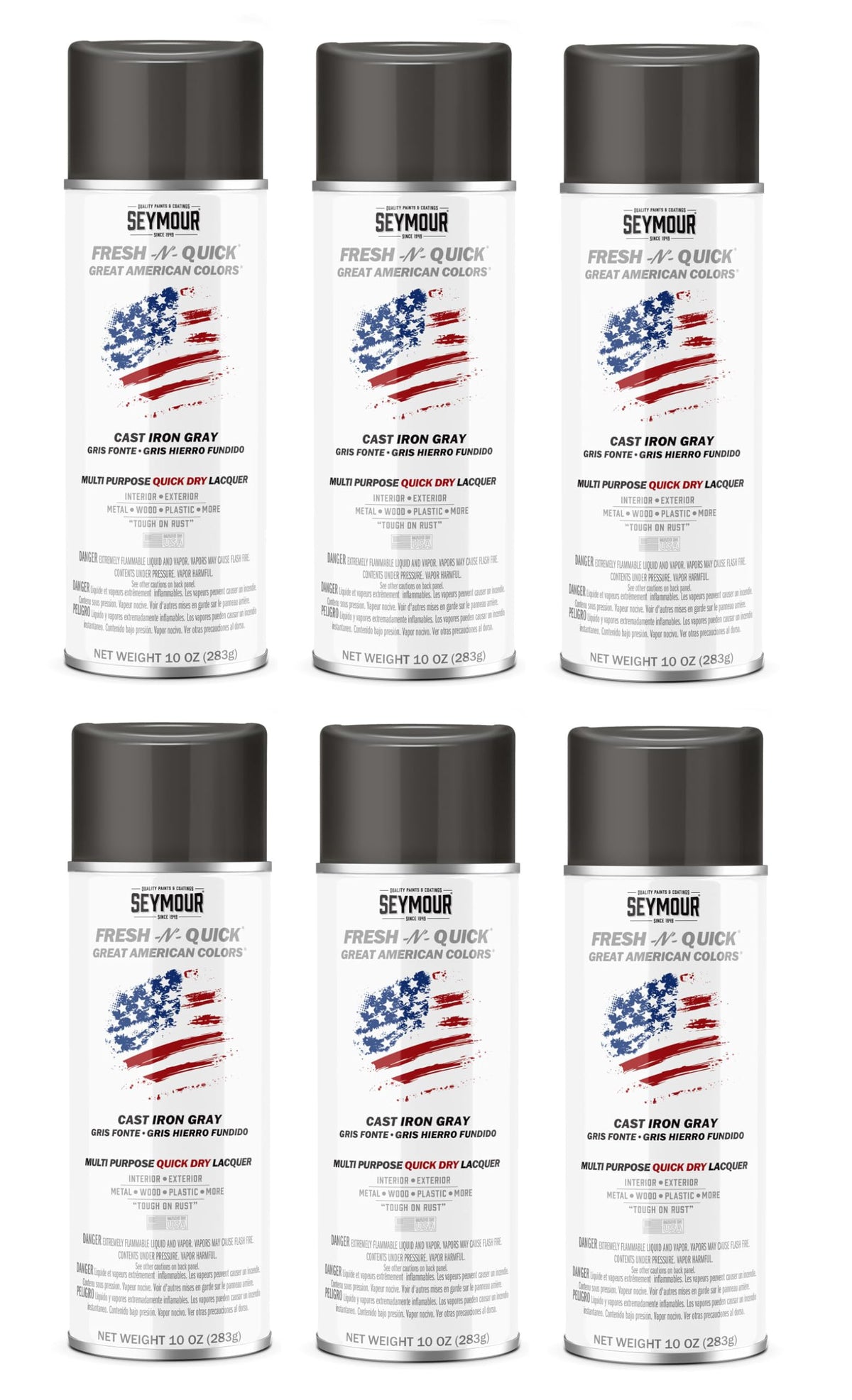 Cast Iron Gray Multi-Purpose Spray Paint 6-Pack E16282