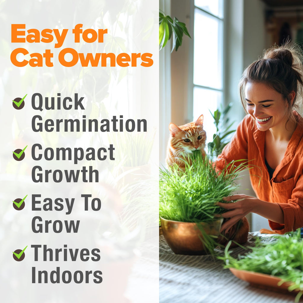 Organic Cat Grass Seeds 8oz Oat & Barley B987