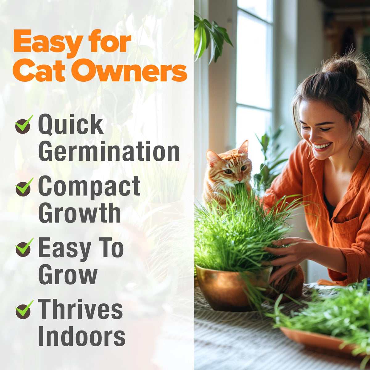 Organic Cat Grass Seeds 8oz Oat & Barley B987