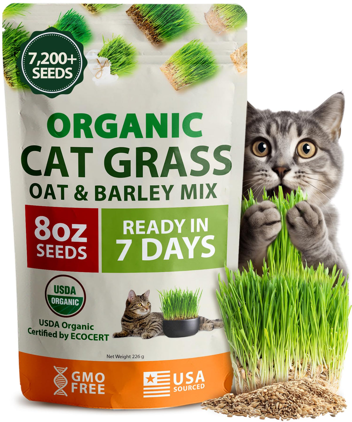 Organic Cat Grass Seeds 8oz Oat & Barley B987