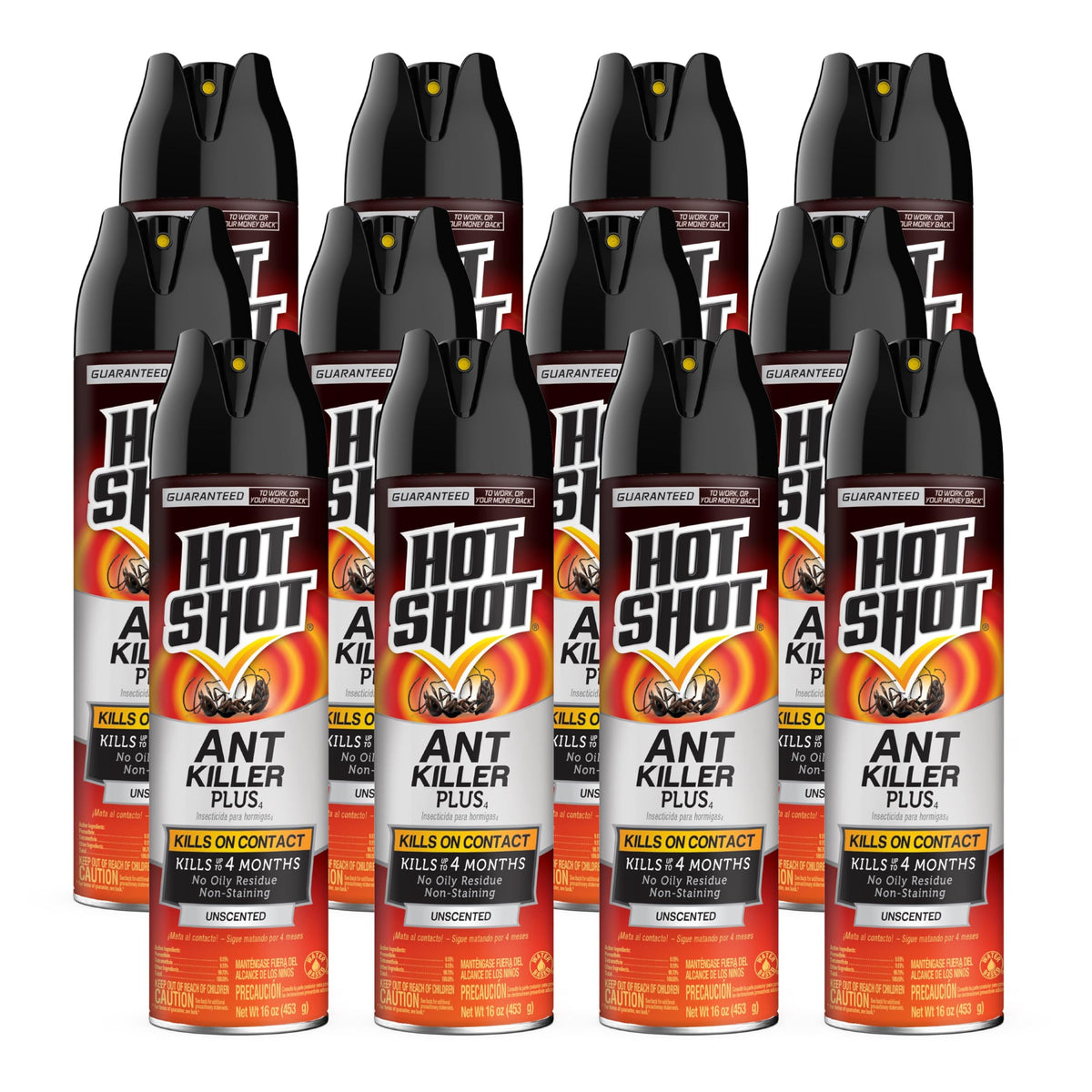 Ant Killer Aerosol 16 Oz Unscented 12 Pk Z811071