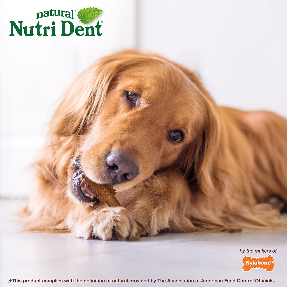 Large Filet Mignon Flavor Dog Dental Chews 20 Count X12095
