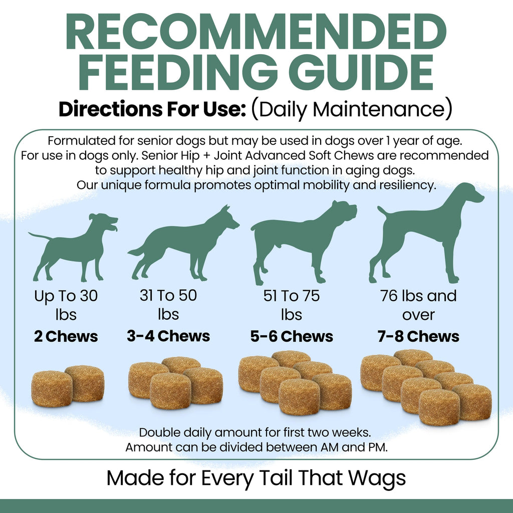 Glucosamine Chondroitin MSM Soft Chews for Dogs D336243