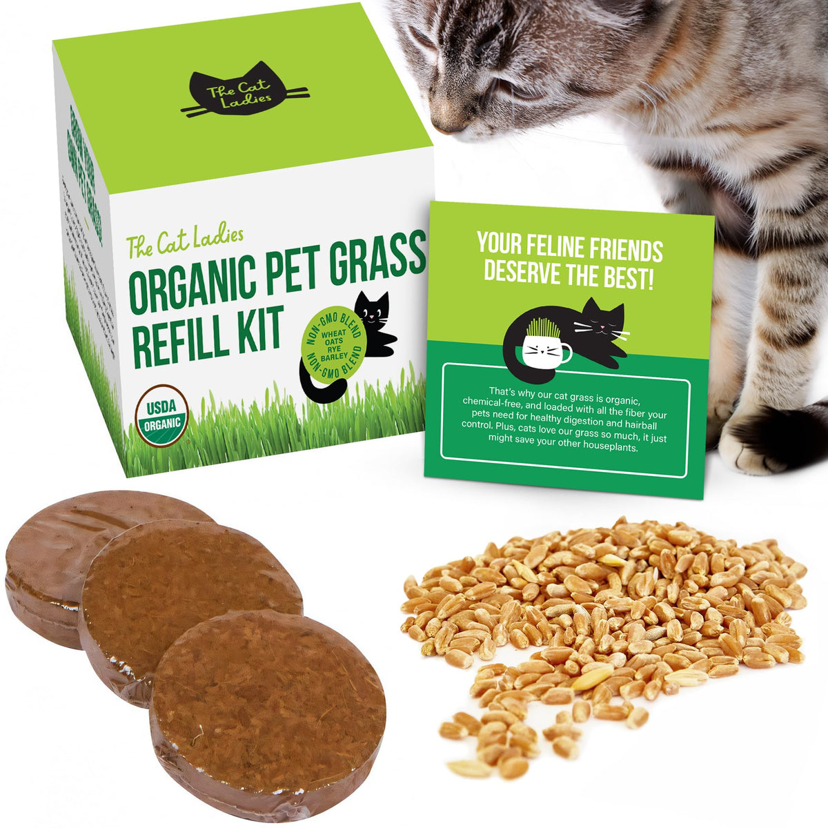 Organic Cat Grass Seed and Coco Coir Soil Disks 3 Pack Q50960