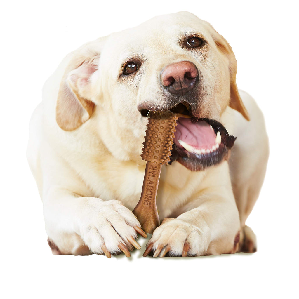 Large Filet Mignon Flavor Dog Dental Chews 20 Count X12095