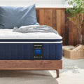 Twin XL 12 Inch Medium Firm Mattress S2739