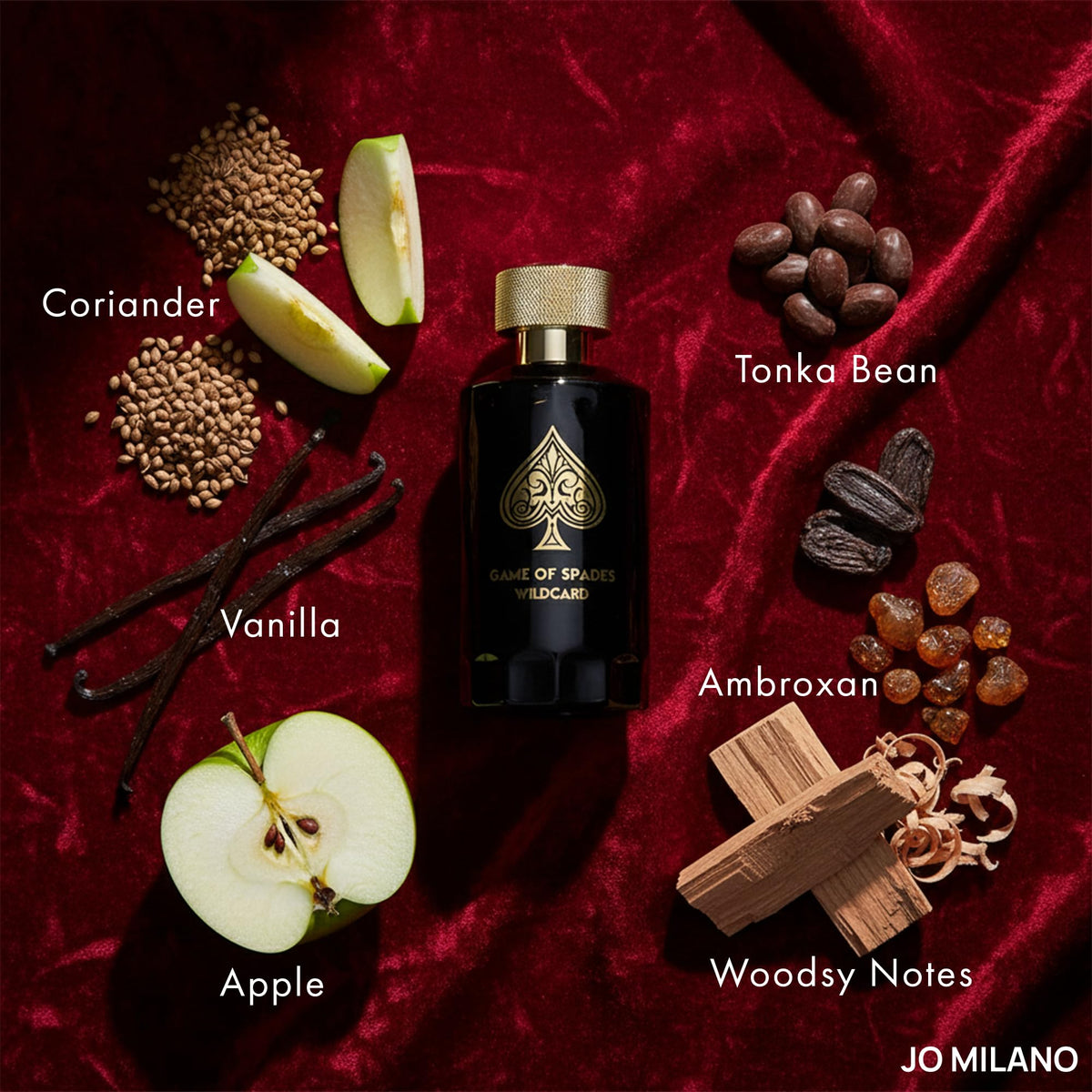 Parfum Spray 3.4 oz Vanilla Apple Tonka Oud Wood Bergamot H6899