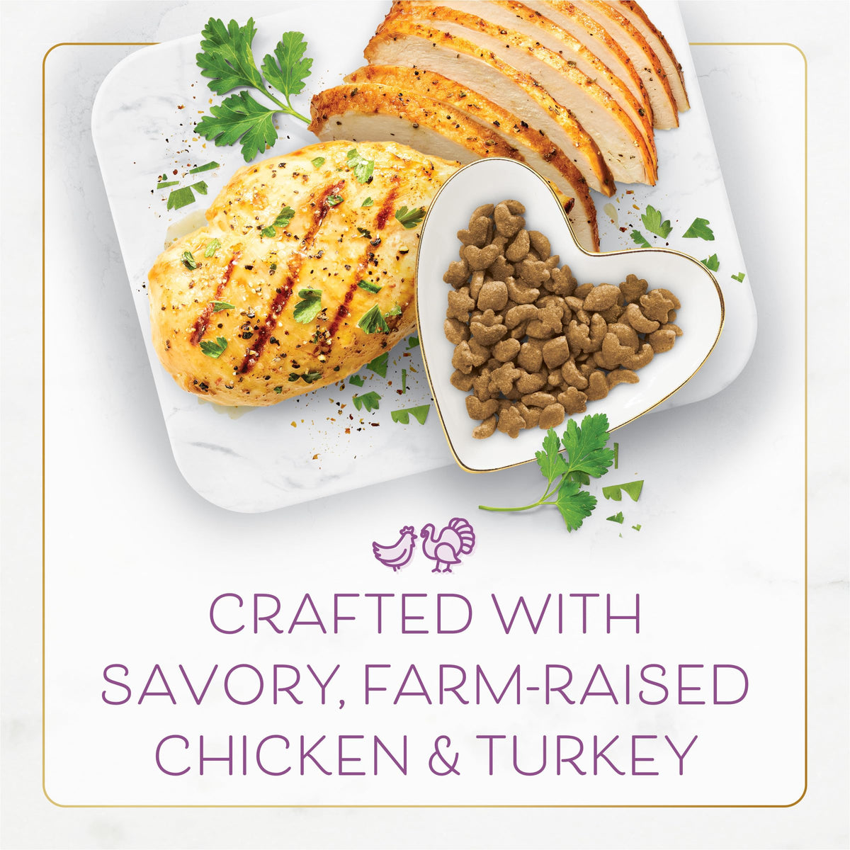 Chicken & Turkey Dry Cat Food 3lb Bag K75012