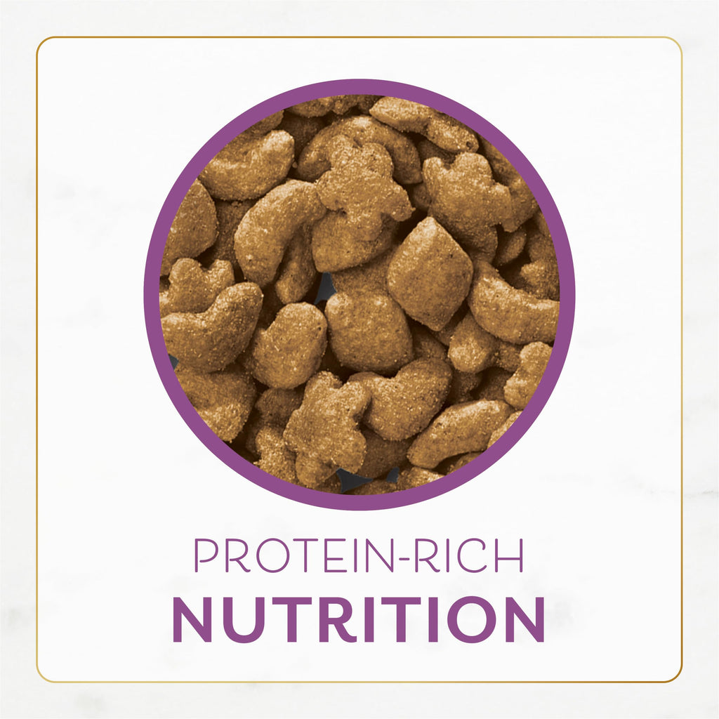 Chicken & Turkey Dry Cat Food 3lb Bag K75012
