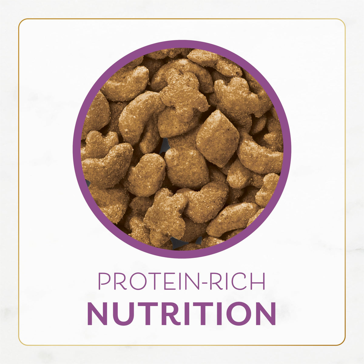 Chicken & Turkey Dry Cat Food 3lb Bag K75012