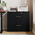 Black 2 Drawer Lateral File Cabinet with Lock G306