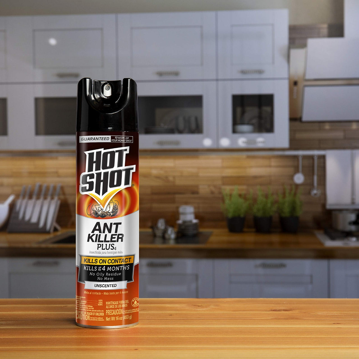 Ant Killer Aerosol 16 Oz Unscented 12 Pk Z811071
