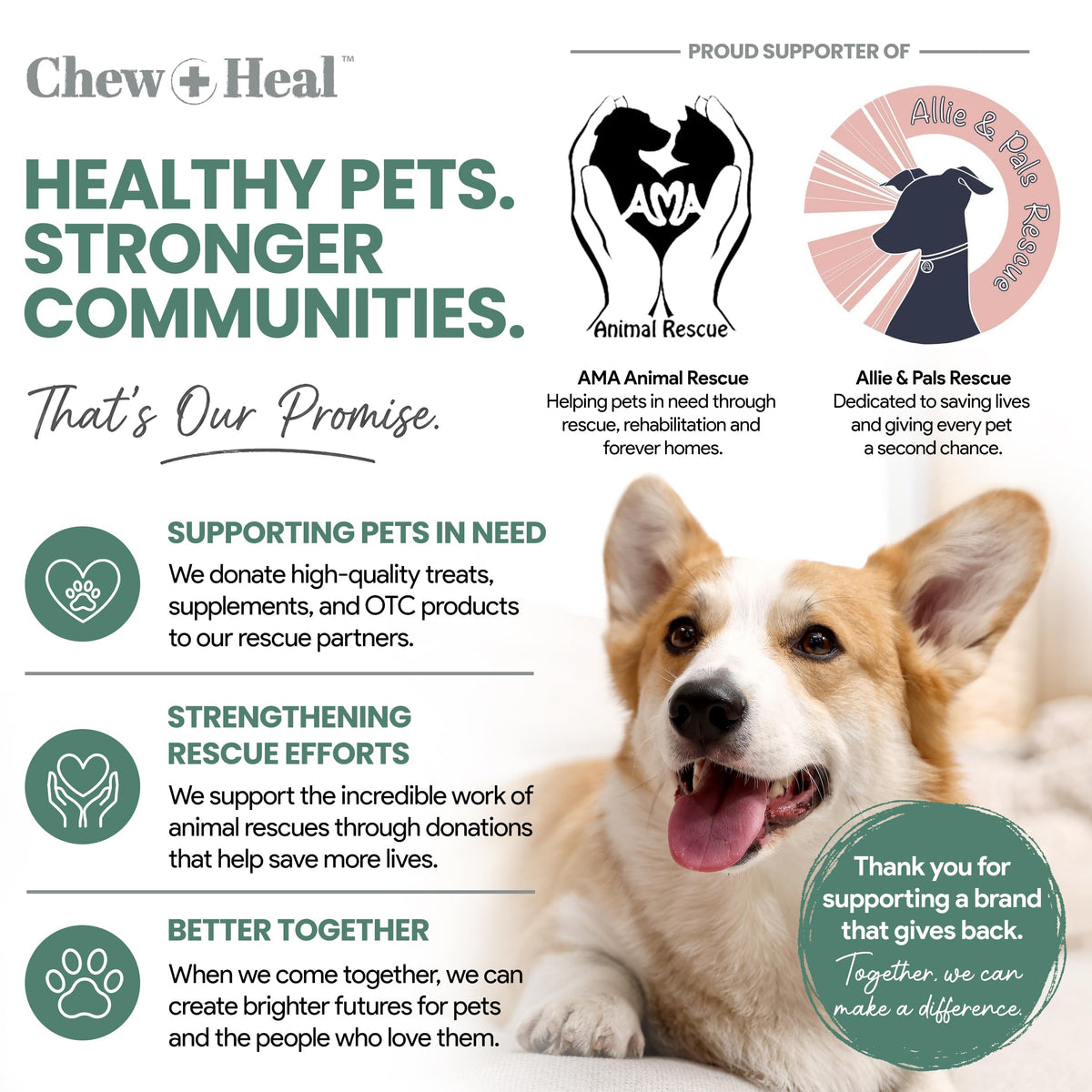 Glucosamine Chondroitin MSM Soft Chews for Dogs D336243