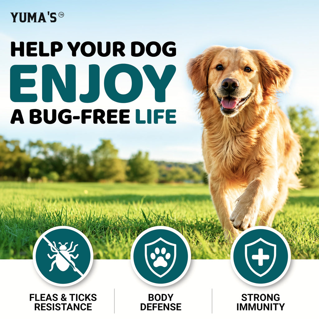 Chewable Flea and Tick Prevention for Dogs 240 Chews L2227