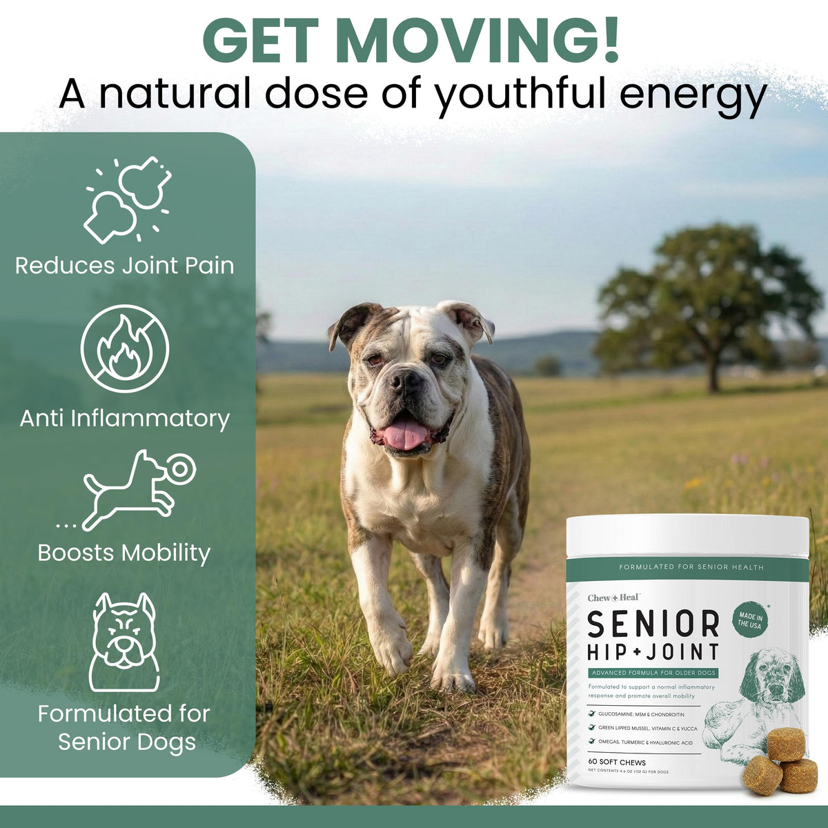Glucosamine Chondroitin MSM Soft Chews for Dogs D336243