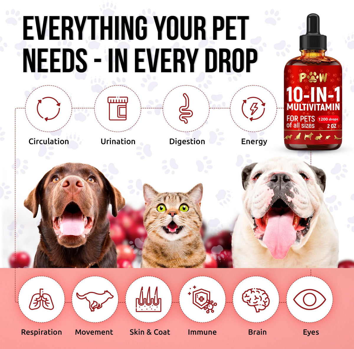 Liquid Multivitamin for Dogs and Cats 2 oz O5815