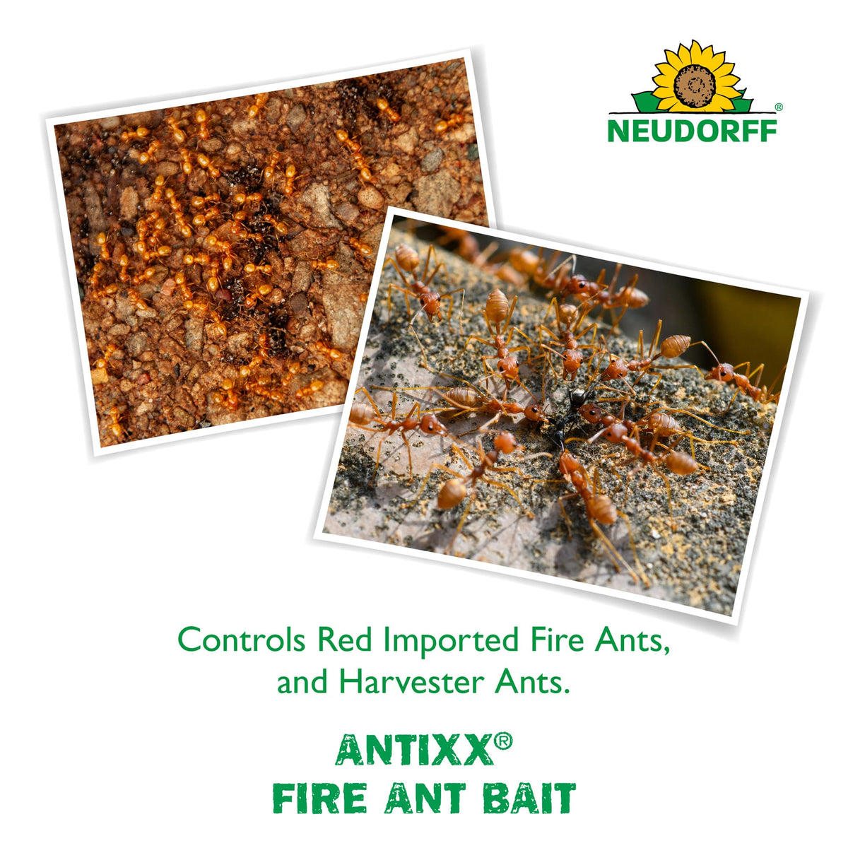 Fire Ant Bait 2 LBS J223