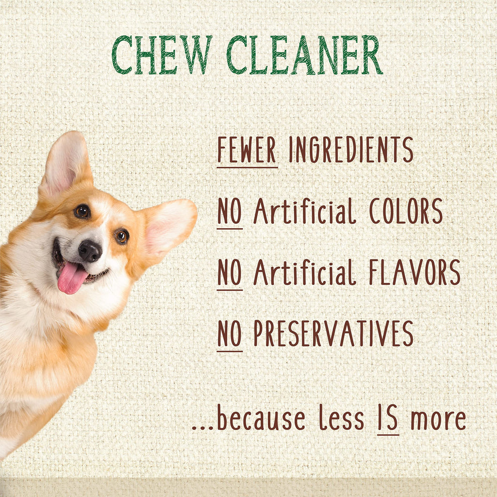 Large Filet Mignon Flavor Dog Dental Chews 20 Count X12095