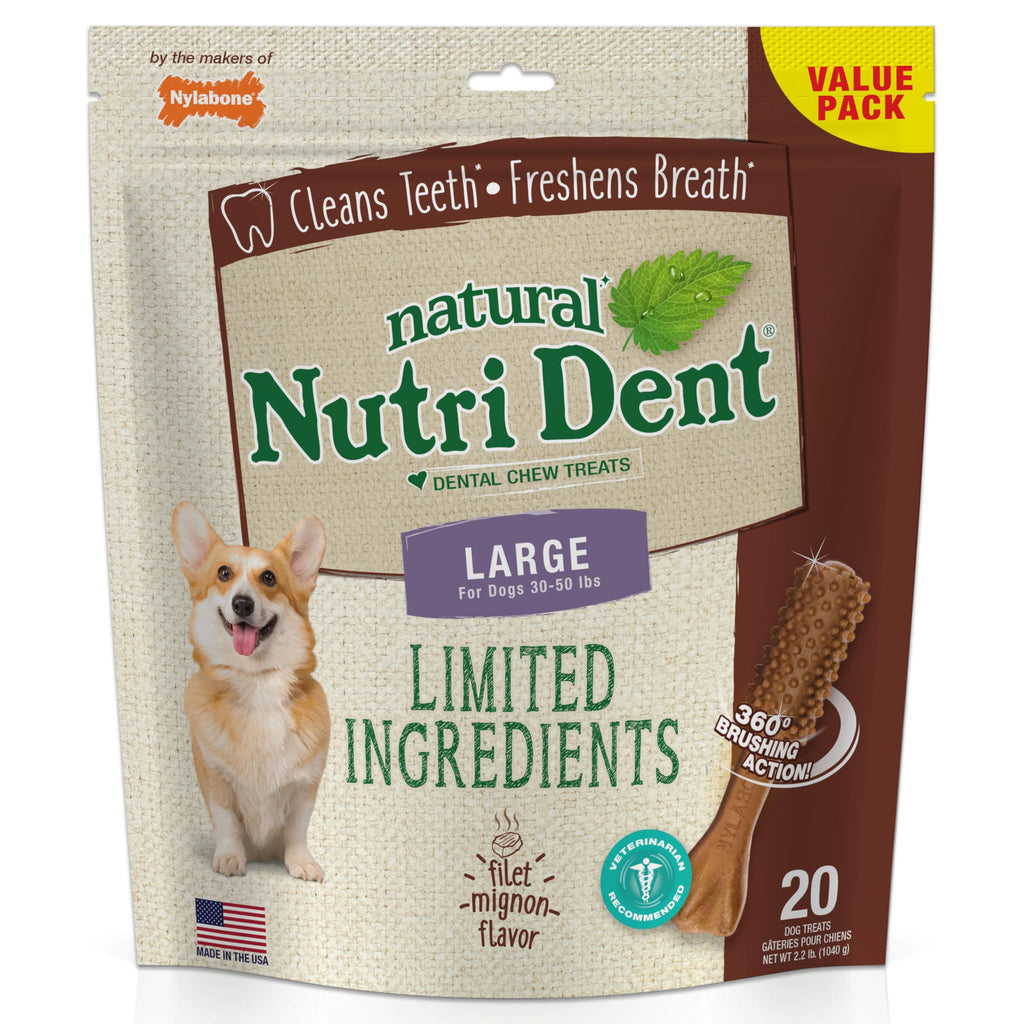 Large Filet Mignon Flavor Dog Dental Chews 20 Count X12095