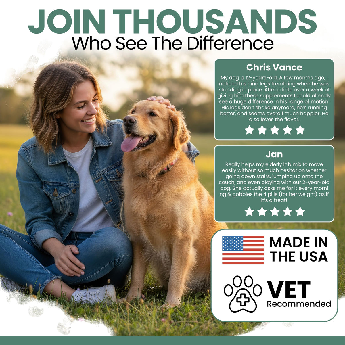 Glucosamine Chondroitin MSM Soft Chews for Dogs D336243