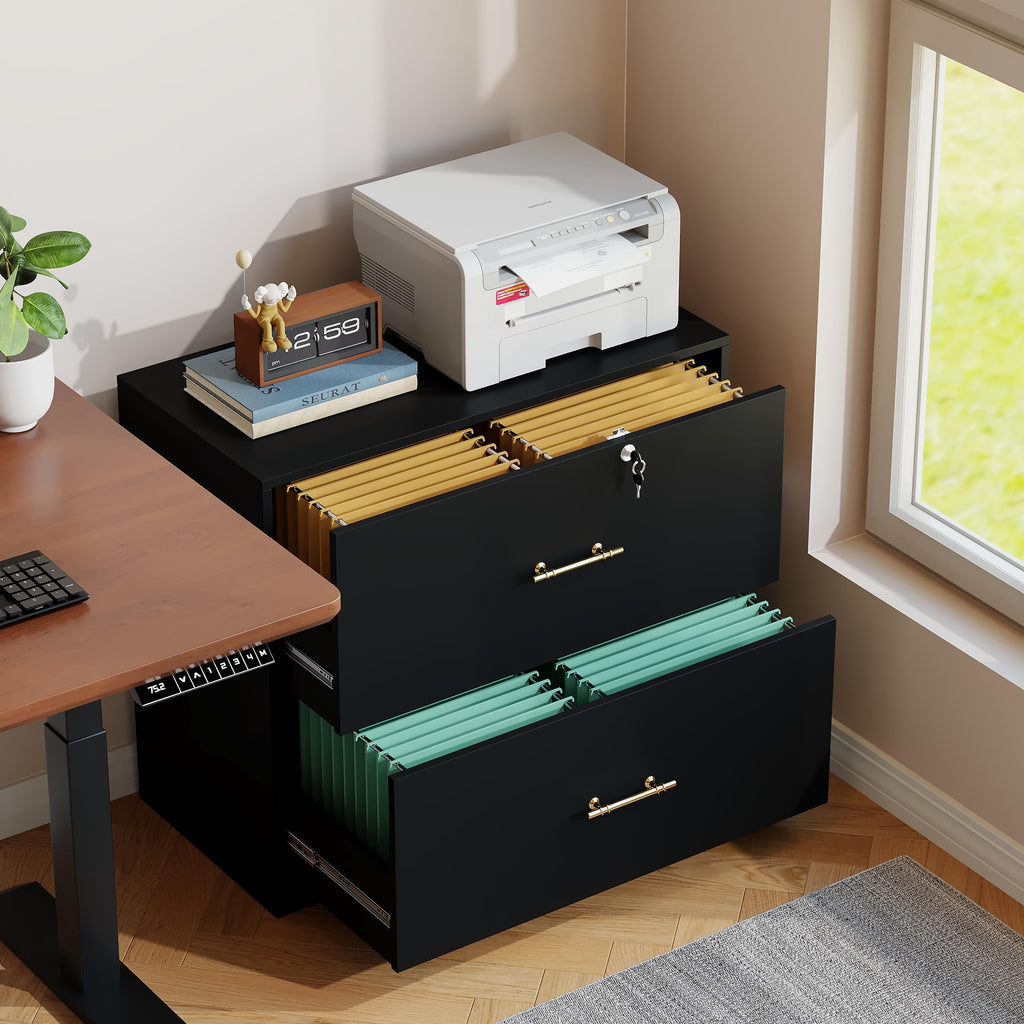 Black 2 Drawer Lateral File Cabinet with Lock G306